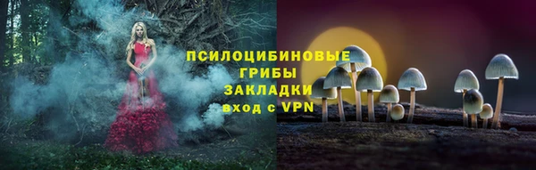 прущие крисы Белоозёрский