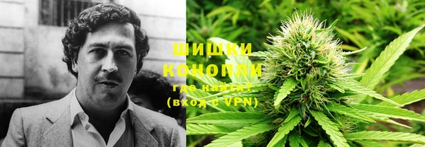 прущие крисы Белокуриха