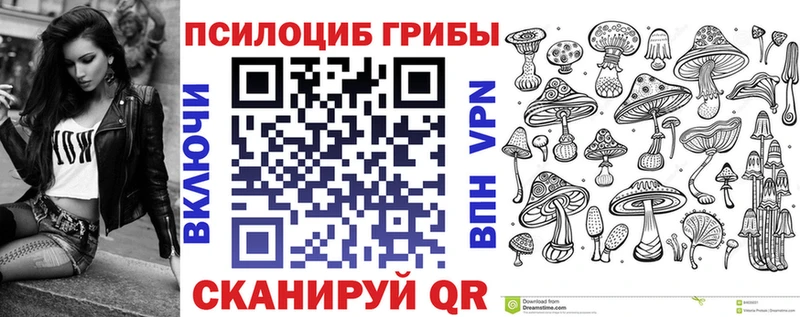 дарк нет официальный сайт  Вихоревка  Галлюциногенные грибы Psilocybine cubensis 